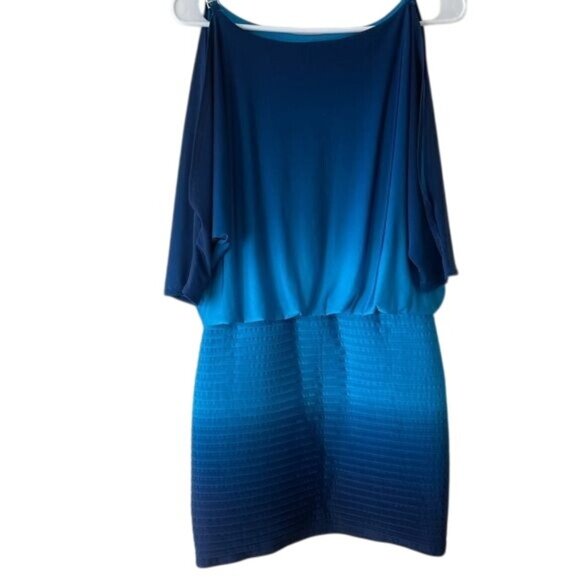 Xscape Dresses & Skirts - Xscape Dress size 4 Pleated Drop Waist Split Sleeve Cocktail Party Office